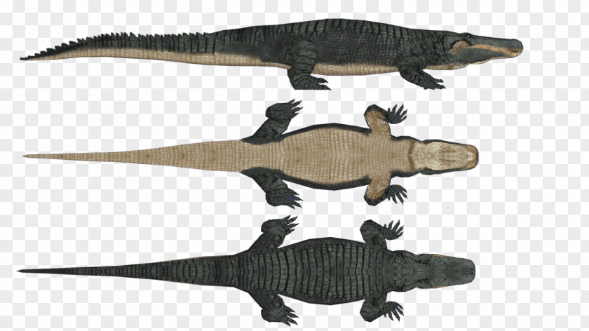 Purussaurus Alligators Animal Brazil Dinosaur PNG