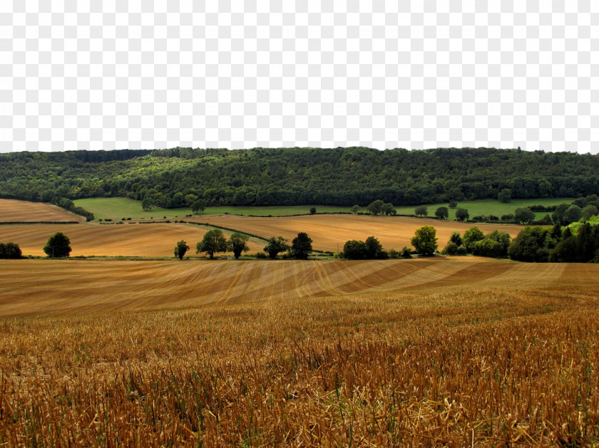 Rural Area Hay Field Natural Landscape Grassland Plain Environment PNG