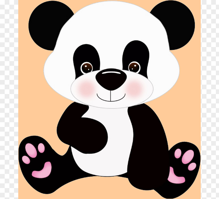 Bear Giant Panda Baby Bears Pandas Clip Art PNG