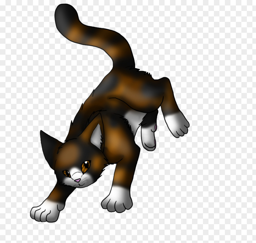 Kitten Whiskers Dog Cat Spottedleaf PNG