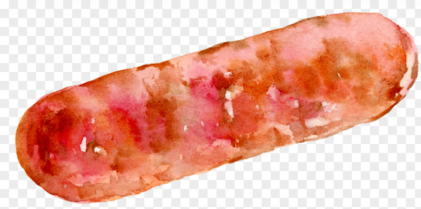 Sausage Chinese Hot Dog Salami Bacon PNG