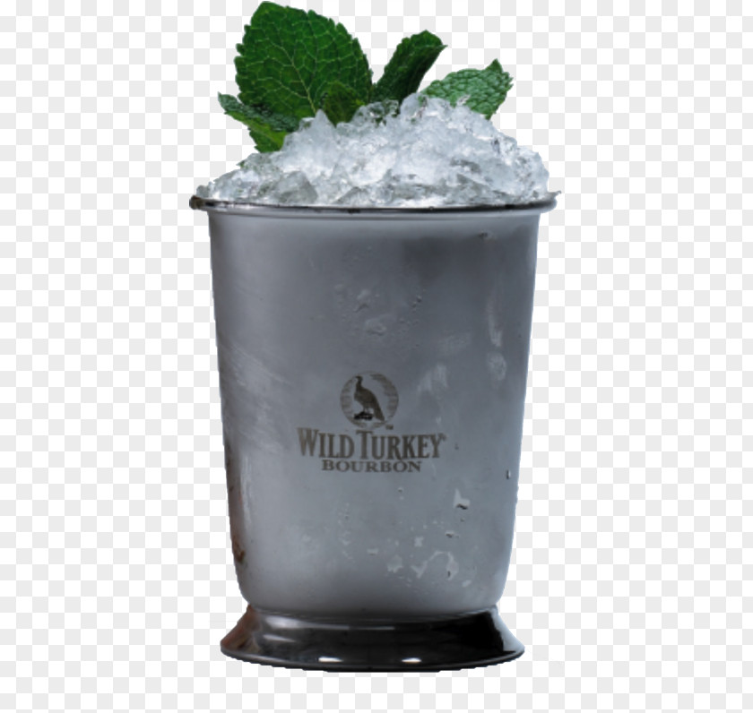 Campari Aperitif Drinks Mint Julep Wild Turkey Distillery Bourbon Whiskey Non-alcoholic Drink PNG