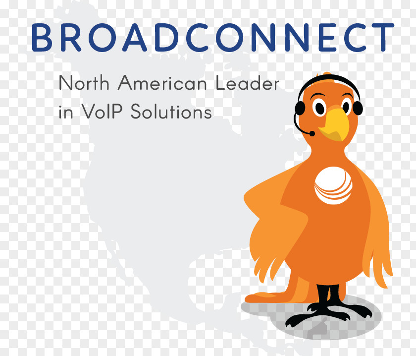NORTH AMERICA Business Telephone System SIP Trunking Unified Communications IP PBX Voice Over PNG