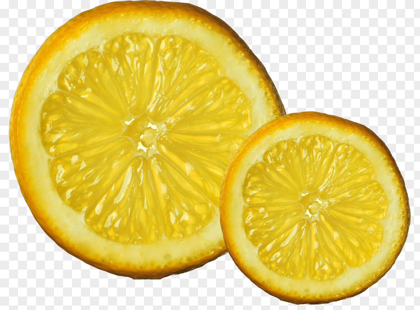 Orange Juice Lemon Gin And Tonic Cocktail Biryani PNG