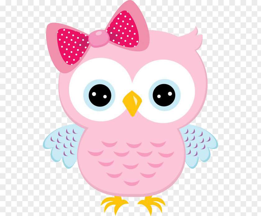 Owl Little Clip Art Image Color PNG