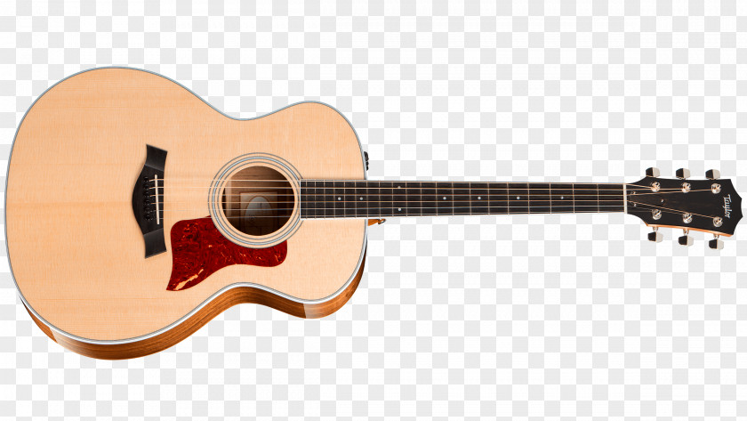Acoustic Taylor Guitars GS Mini Guitar Bass PNG