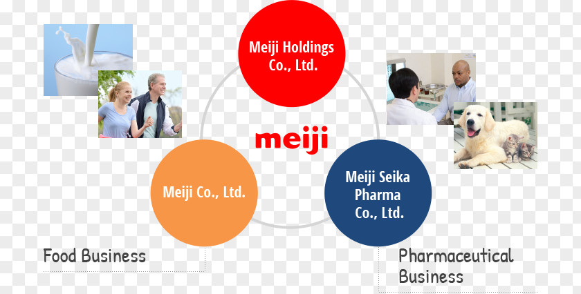 Business Meiji Period Holdings Co., Ltd. Seika Dairies PNG