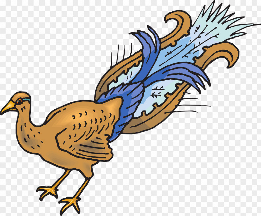 Chicken Clip Art Feather Bird Peafowl PNG