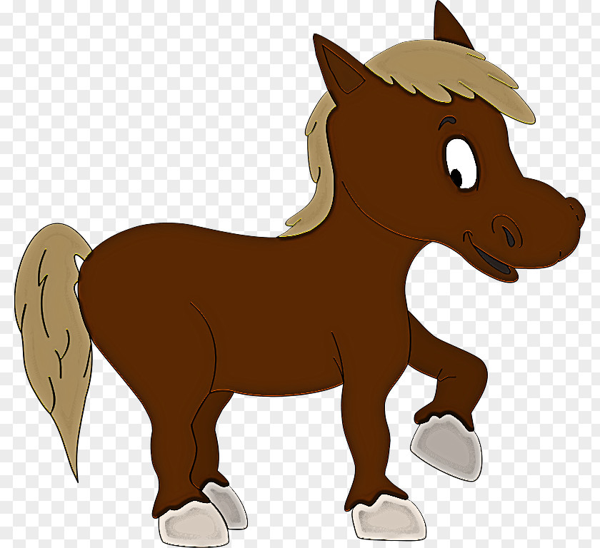 Foal Pony Stallion Mustang Colt PNG