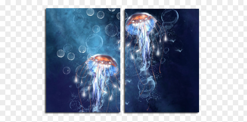 Jellyfish Desktop Wallpaper 1080p High-definition Television Video PNG