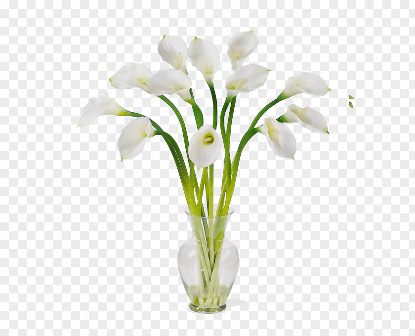Vase Flowerpot Artificial Flower PNG