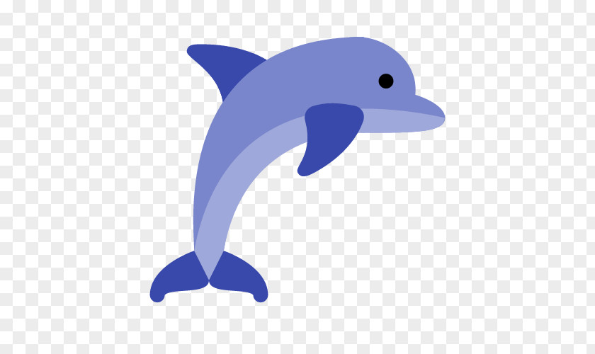 Blue Dolphin Common Bottlenose Short-beaked Tucuxi English Learning For Kids Icon PNG
