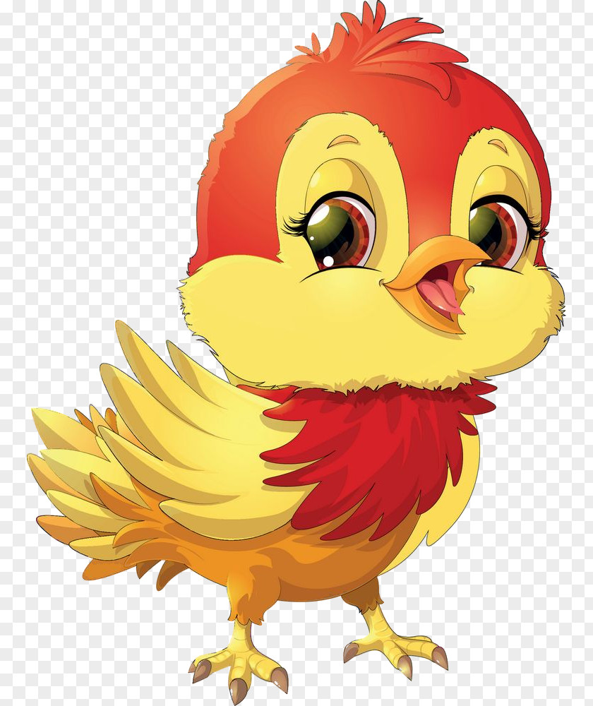 Cartoon Chicken Bird Rooster Beak PNG