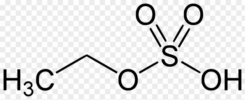Coenzyme Isovaleraldehyde Methyl Group Ethyl Sulfate Glucuronide Nerve Agent PNG