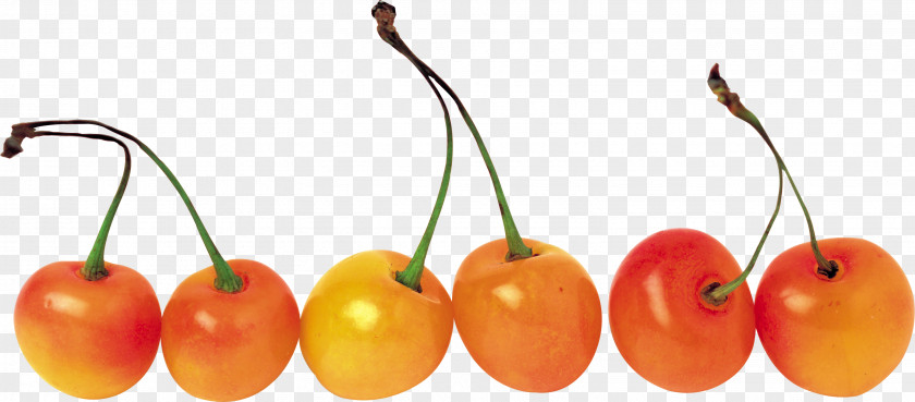 Extremely Sweet Cherry Habanero Clip Art PNG