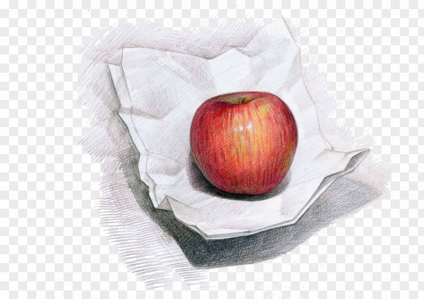 Hand-painted Apples Apple Campus Colored Pencil Drawing Painting PNG