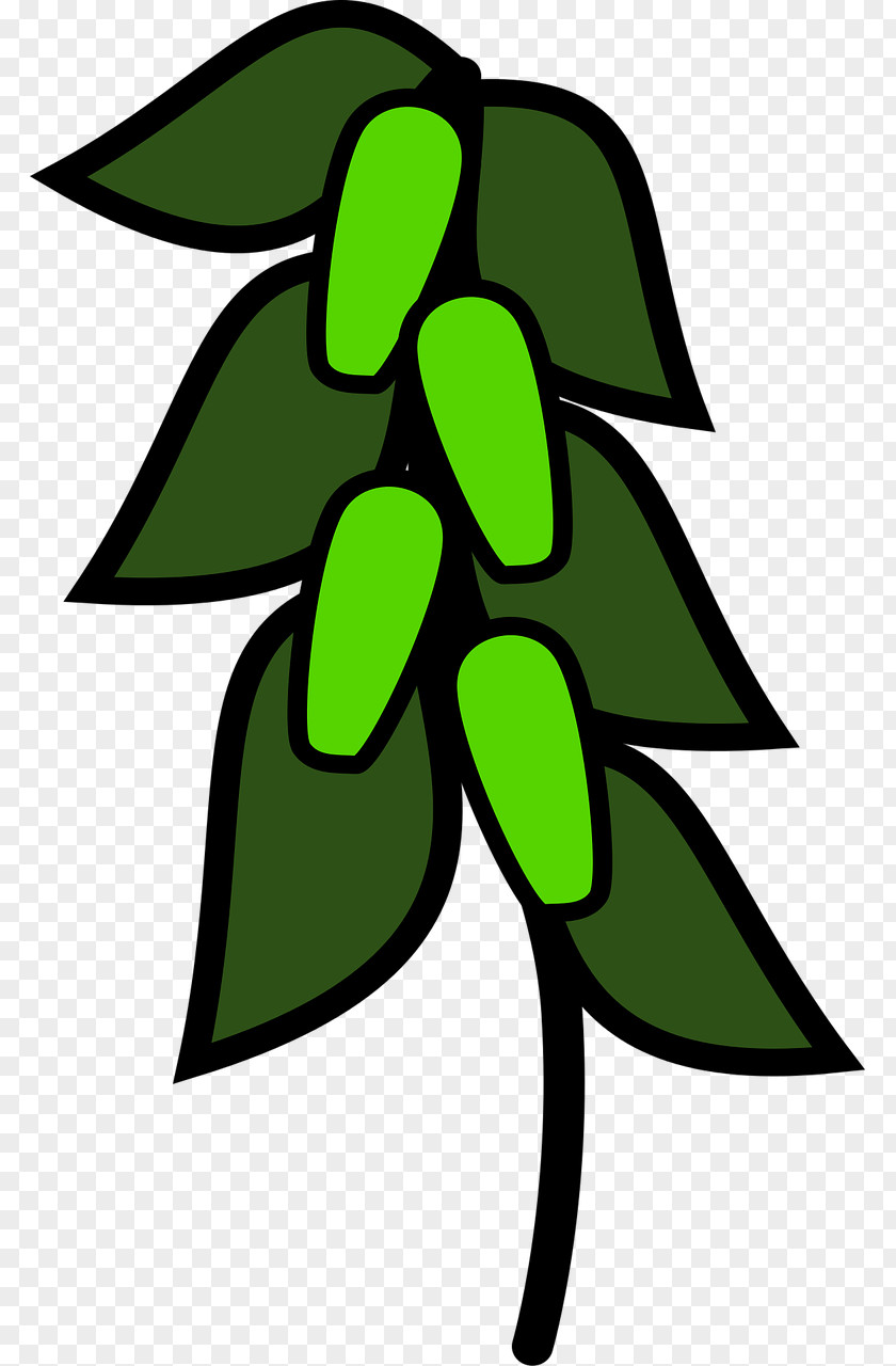 Pea Soup Green Leaf Clip Art PNG