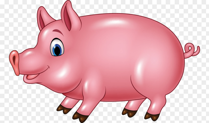 Pig Drawing PNG