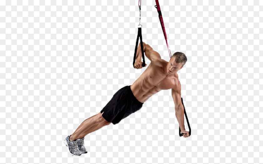 Suspended Suspension Training Fitness Centre Exercise Equipment Physical PNG