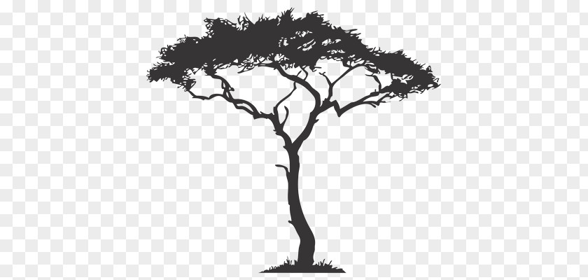 African Queen Africa Tree Clip Art Wattles Decal PNG