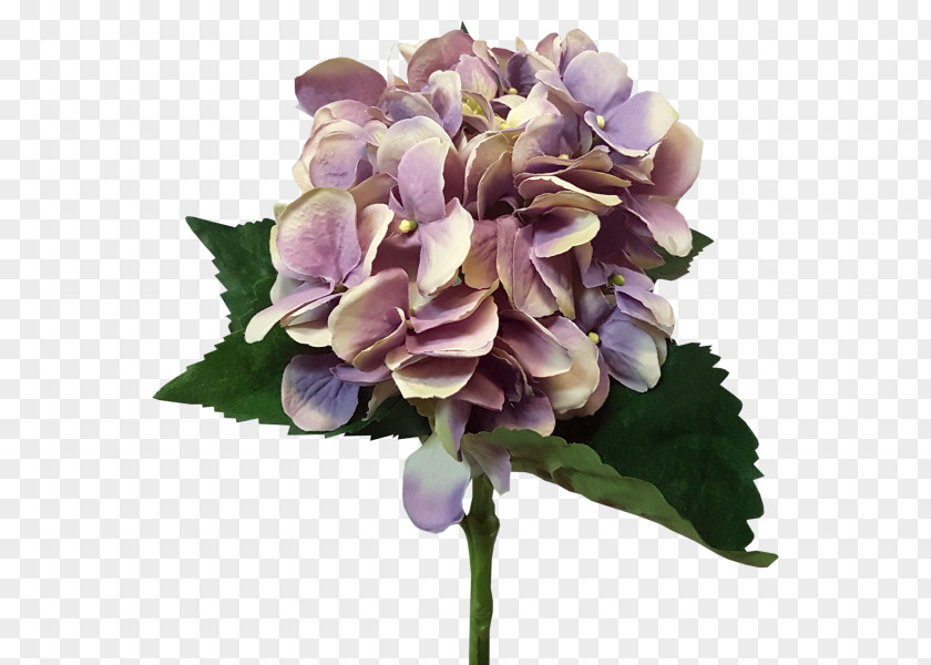 Flower Hydrangea Cut Flowers Bouquet Artificial PNG