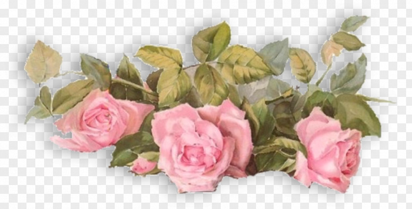 Funeral Flower Garden Roses Desktop Wallpaper Clip Art PNG