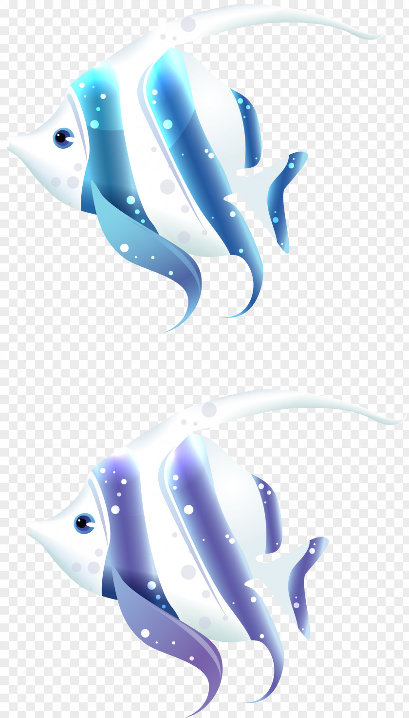 Marine Fish Biology Clip Art PNG