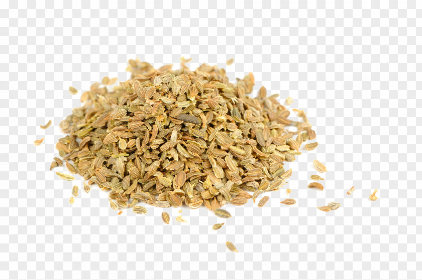 Oats Carrot Seed Oil PNG
