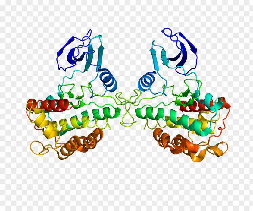 RPS6KA1 Protein Kinase Ribosomal S6 Ribosome PNG