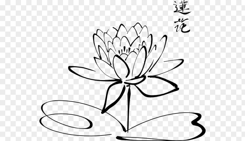Water Lily Style Black And White Flower PNG