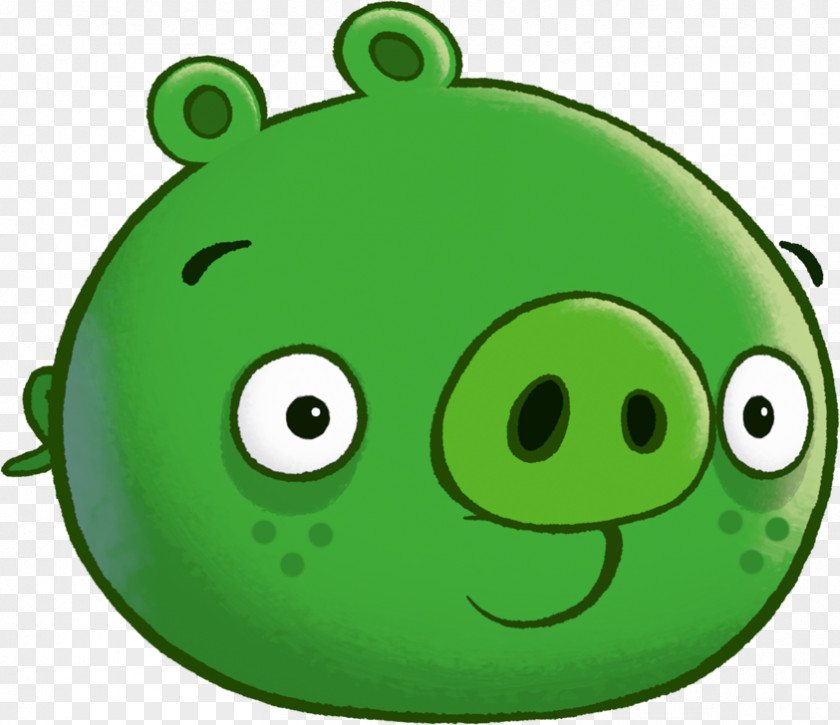 Bad Piggies Angry Birds Go! 2 Stella PNG