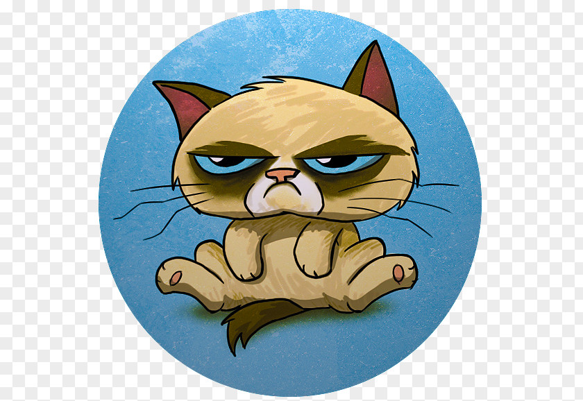 Kitten Whiskers Grumpy Cat Tabby PNG