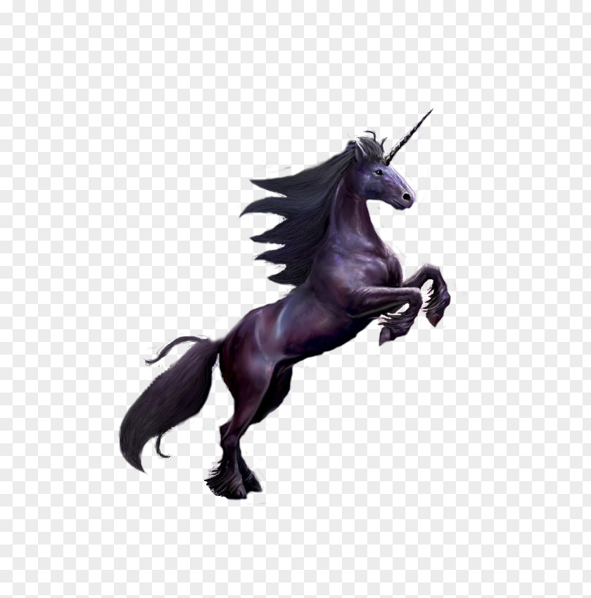 Unicorn Mustang Stallion Mane Halter PNG