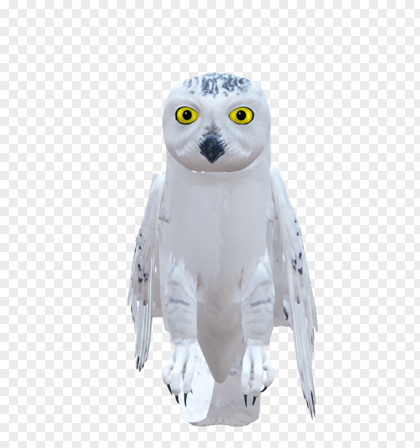 Animal Watercolor Owl Bird Clip Art PNG