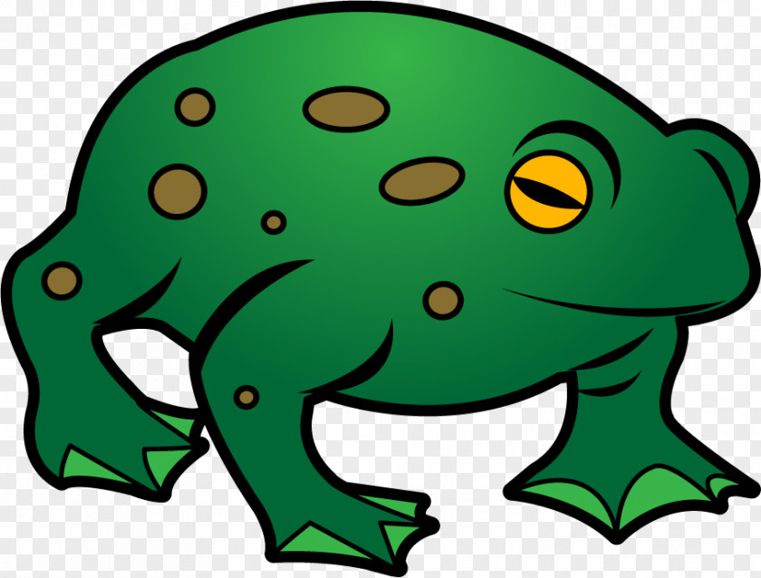 Bullfrog Cliparts Frog And Toad Drawing Clip Art PNG