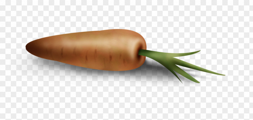 Carrot Juice Food Vegetable PNG