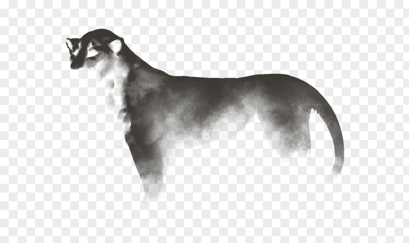 Dog Breed Cat Puppy Snout PNG