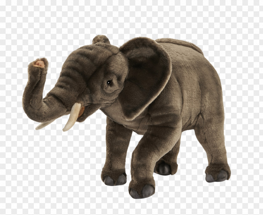 Elephant African Stuffed Animals & Cuddly Toys Hansa PNG