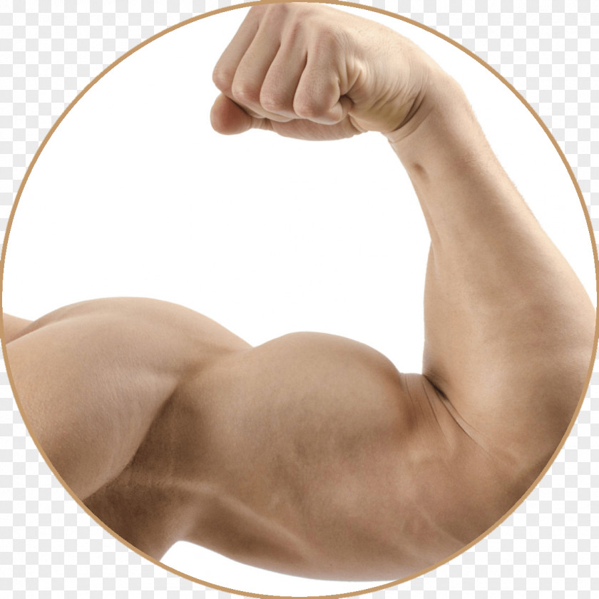 Muscle Pumpkin Pie Denny's Tumblr PNG