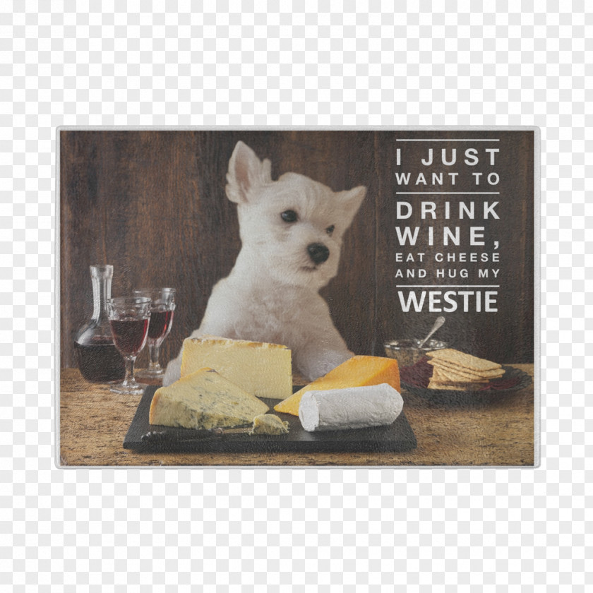 Puppy Dog Breed West Highland White Terrier Snout PNG