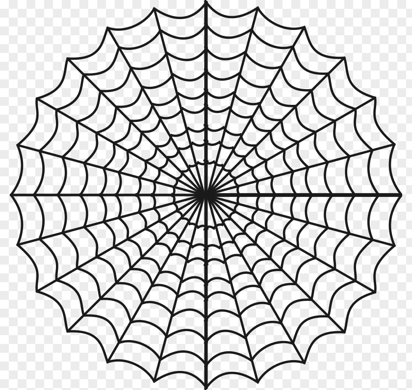 Spider Web Coloring Book Child Clip Art PNG
