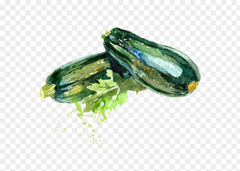 Cartoon Zucchini Illustration Recipe Vegetable Food PNG