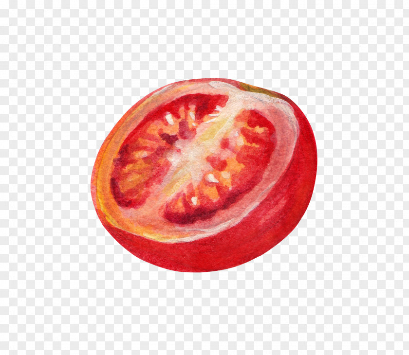 Cut The Tomatoes Vegetable Cherry Tomato Strawberry Watercolor Painting Illustration PNG
