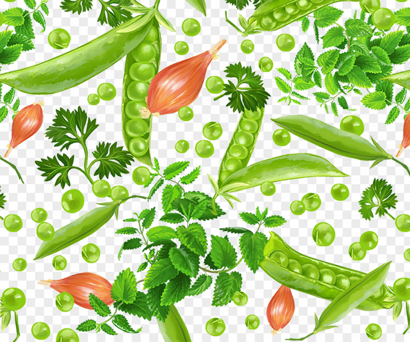 Green Peas Healthy Food Pea Birds Eye Chili PNG