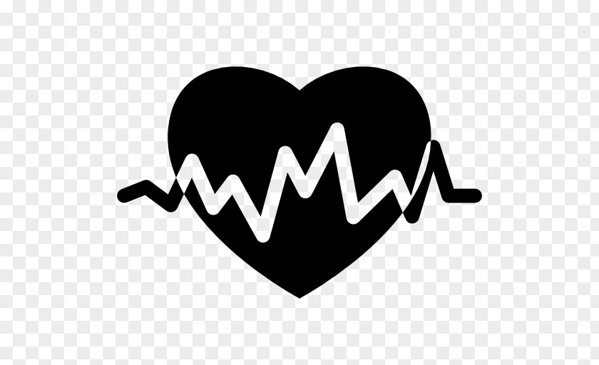 Heartbeat Vector Heart Rate Electrocardiography Pulse PNG