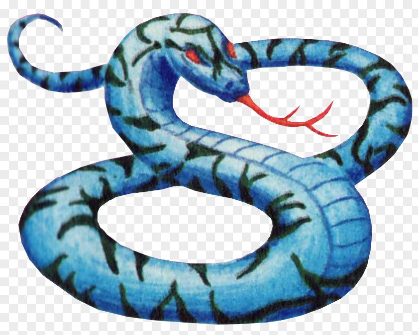 Kingsnakes Boa Constrictor Wikia PNG