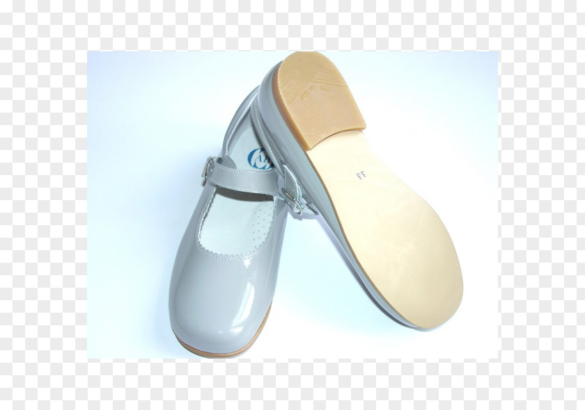 Mary Jane Slipper Beige Shoe PNG