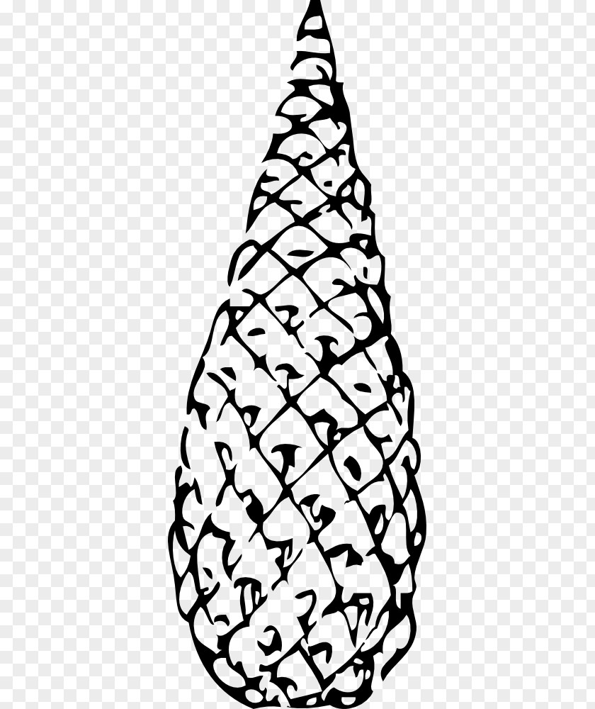 Pine Cone Frame Conifer Conifers Clip Art PNG