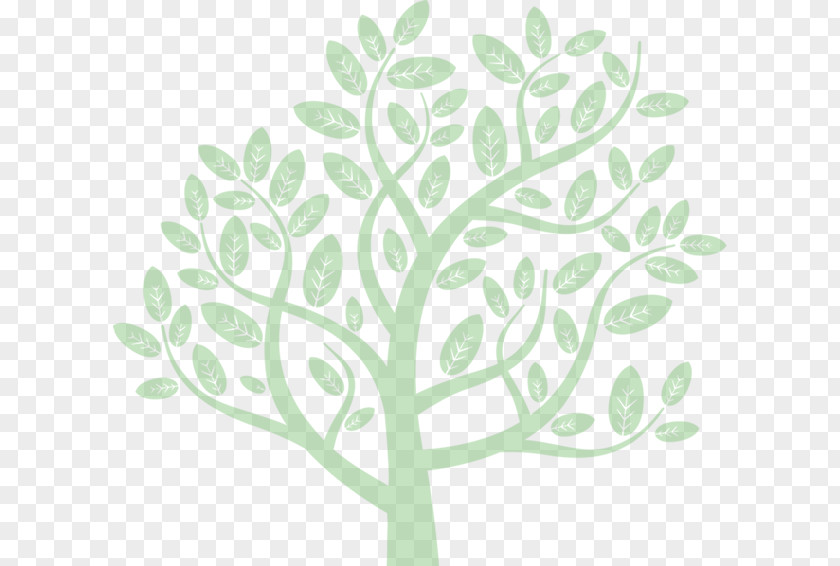 Tree Branch Root Leaf PNG