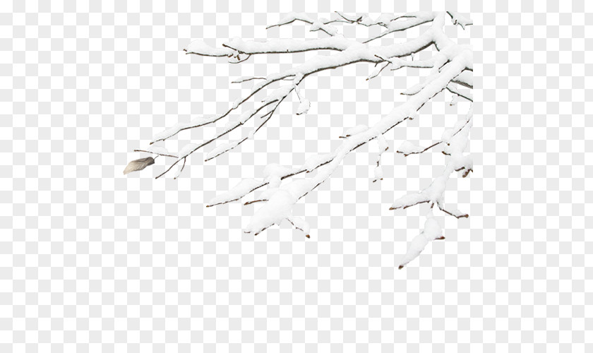 Winter Branches Black And White Snow PNG